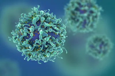 Artist’s rendering of aquamarine T cells in front of a blue and green background. Artist’s rendering of aquamarine T cells in front of a blue and green background.